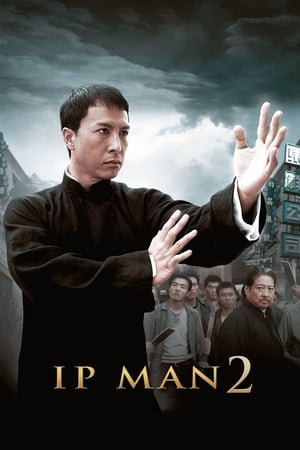 Ip Man 2 (2010) Hindi Dual Audio 480p BluRay 350MB